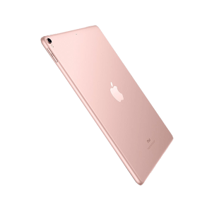 Fusce congue